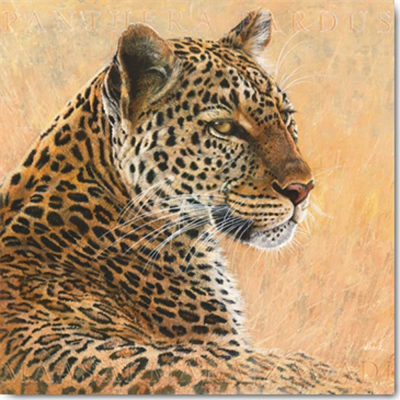 Katzen / Gemälde Zeichnung