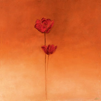 Heinemann, Erika Poppy Elegance II Giclee-Druck