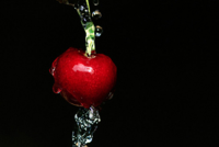 Riedt, Kirsten Kirsche Giclee-Druck