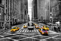 Feldmann, Michael Yellows Giclee-Druck