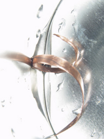 Lisa Spiral Harmony I Giclee-Druck