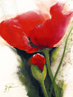 Pflumm, Gerd Faszination Mohn II Giclee-Druck
