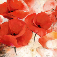 Aeffner, Thomas Mohnwiese Giclee-Druck