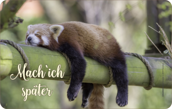 Fun - Frühstücksbrettchen - Mach ich später