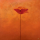 Heinemann, Erika Poppy Elegance I Giclee-Druck