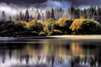 Forests - Poster - Autumn Lights + 1 Ü-Poster der...
