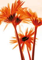 Riedt, Kirsten Rendez-vous II Giclee-Druck