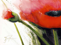 Pflumm, Gerd Faszination Mohn I Giclee-Druck