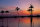 Marent, Thomas Sunset, Maguari Stork II Giclee-Druck