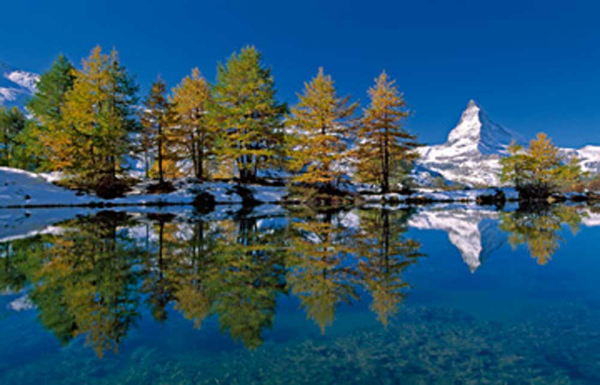 Marent, Thomas Matterhorn with larches I Giclee-Druck