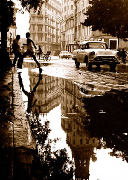 Dombrowski, Barb Havanna I Giclee-Druck