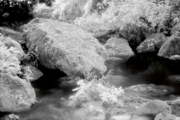 Steiner, Martin Idyll Giclee-Druck