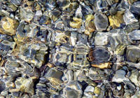 Klipp, Ortwin Liquids 2 Giclee-Druck