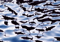 Klipp, Ortwin Liquids 6 Giclee-Druck