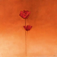 Heinemann, Erika Poppy Elegance II Giclee-Druck