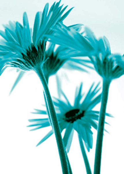 Riedt, Kirsten Rendez-vous III Giclee-Druck