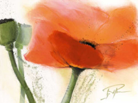 Pflumm, Gerd Faszination Mohn III Giclee-Druck
