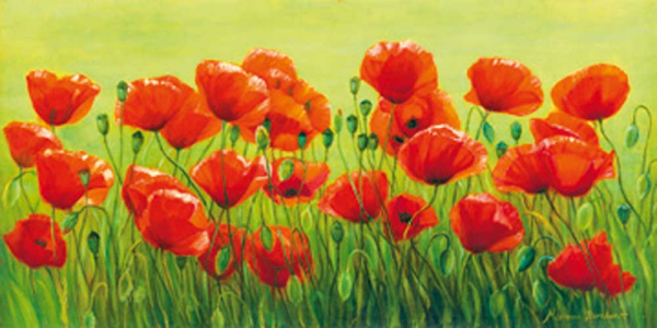 Bernhardt, Maria Klatschmohnwiese Giclee-Druck