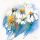 Peuckert, Marta Margeriten Giclee-Druck