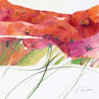 Peuckert, Marta Modern Poppy VI Giclee-Druck