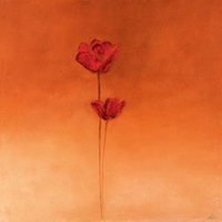 Heinemann, Erika Poppy Elegance II Giclee-Druck