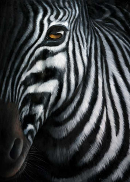 Plath, Jutta Zebra I Giclee-Druck