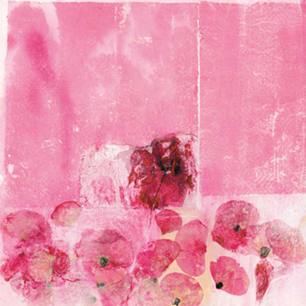 Spilker, Katja Mohnblühen Giclee-Druck