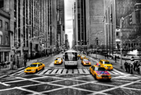 Feldmann, Michael Yellows Giclee-Druck