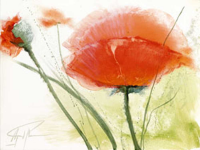 Pflumm, Gerd Faszination Mohn IV Giclee-Druck