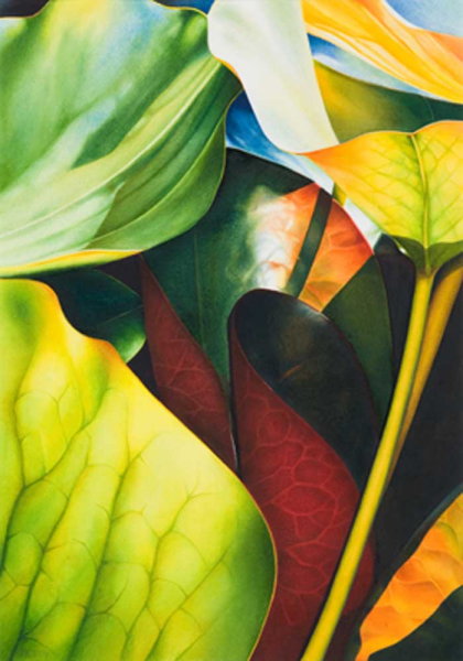 Koch, Angelika Nymphea 2 Giclee-Druck