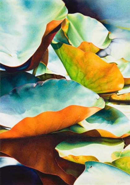 Koch, Angelika Nymphea 3 Giclee-Druck