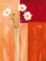 Gohn, Günter Margeriten mit Siena-Braun Giclee-Druck