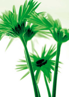 Riedt, Kirsten Rendez-vous I Giclee-Druck