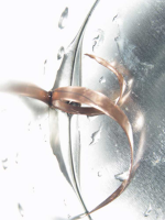 Lisa Spiral Harmony I Giclee-Druck