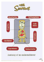 Simpsons, The - Poster - Skelett