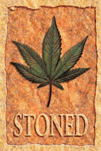 Dope - Poster - Stoned