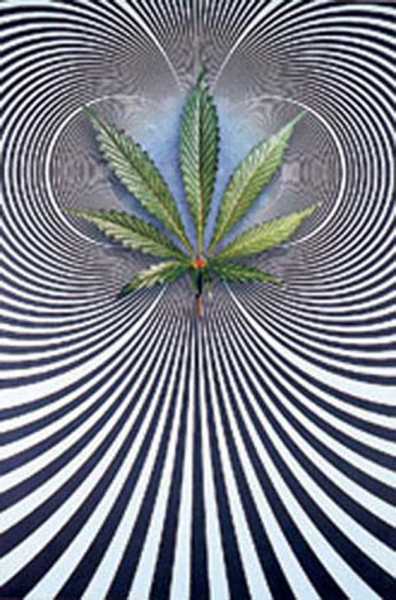 Virtual - Poster - Op Leaf