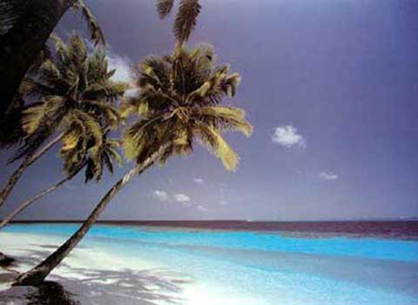 Strände - Poster - of Dreams