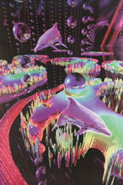 Dolphins - Poster - Dream