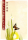 Hiemisch - Poster - Chinese Butterfly