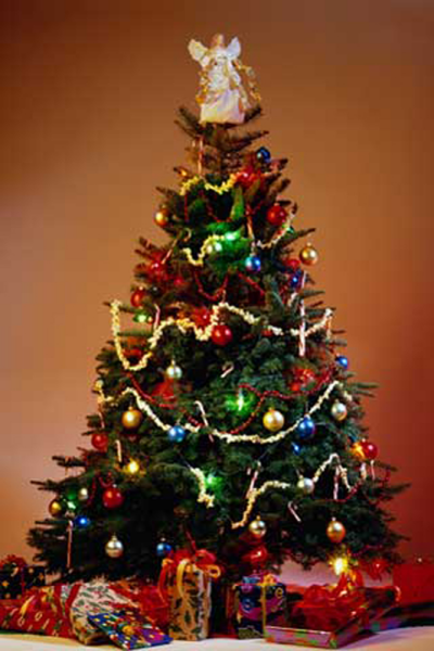 Weihnachten - Poster - Weihnachtsbaum