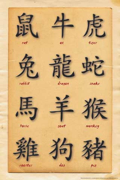 Chinese Writing - Poster - Tierkreiszeichen, Zodiac