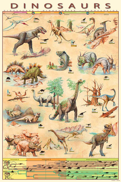 Poster - Educational - Bildung - Dinosaurs - Dinosaurier Version 5