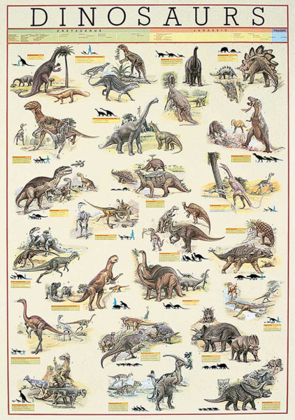 Poster - Educational - Bildung - Dinosaurs Dinosaurier Version 6