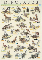 Poster - Educational - Bildung - Dinosaurs Dinosaurier...