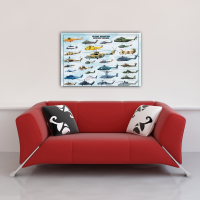 Poster - Educational - Bildung - Military Helicopters...