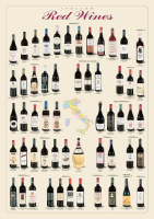 Poster - Educational - Bildung - Italian Red Wines Italienische Rotweine