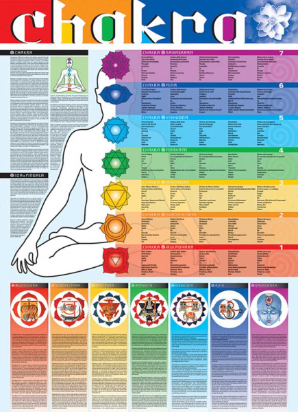 Poster - Educational - Bildung - Chakra