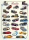 Poster - Educational - Bildung - Evolution Klassische Autos
