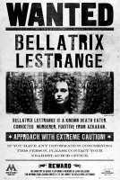 Harry Potter - Poster - Bellatrix + 1 Ü-Poster der...